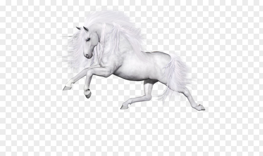 Horse Unicorn Image Pegasus PNG