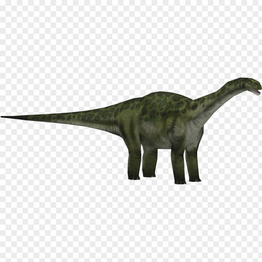 Jurassic Park Park: Operation Genesis Zoo Tycoon 2 III: Builder Camarasaurus Tyrannosaurus PNG