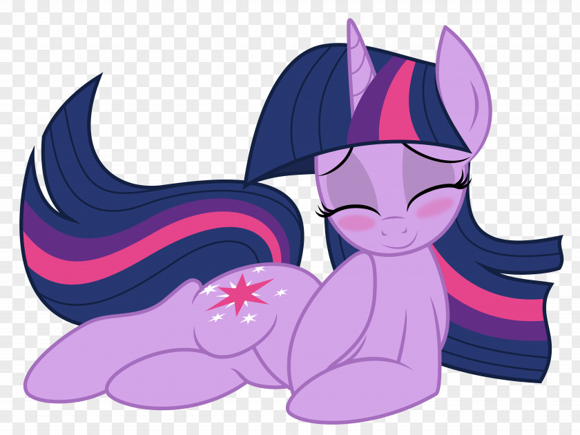 My Little Pony Twilight Sparkle Rarity Rainbow Dash Pinkie Pie PNG