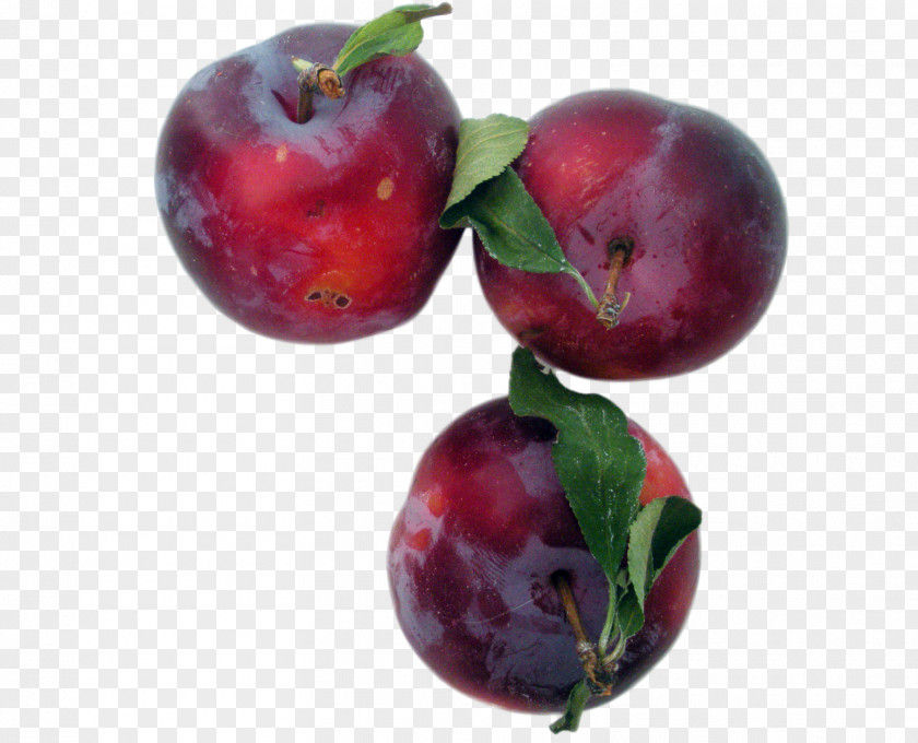 Plum Transparency And Translucency Prunus Sect. Cherries Fruit Jam Sour Cherry PNG