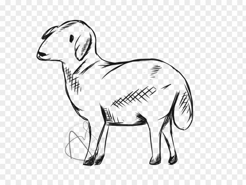 Sheep Goat Cattle Drawing Line Art PNG