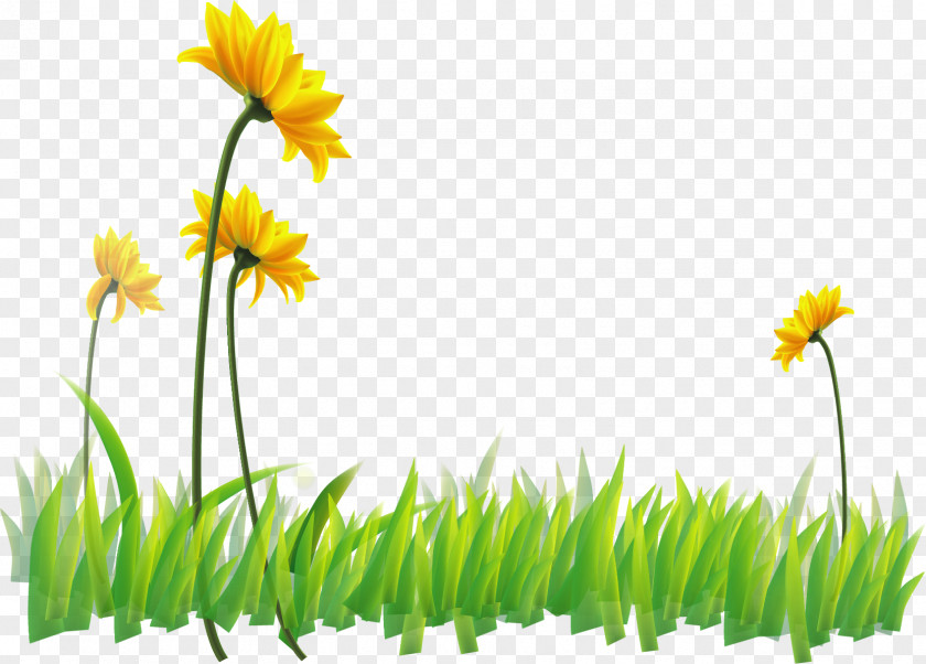 Vector Painted Green Flowers Narcissus Flora Yellow Wildflower Wallpaper PNG