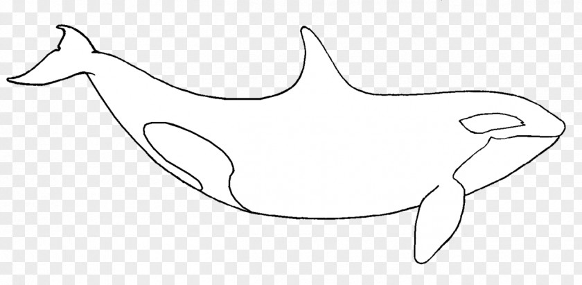 Whales And Kids Killer Whale Penguin Drawing Clip Art PNG