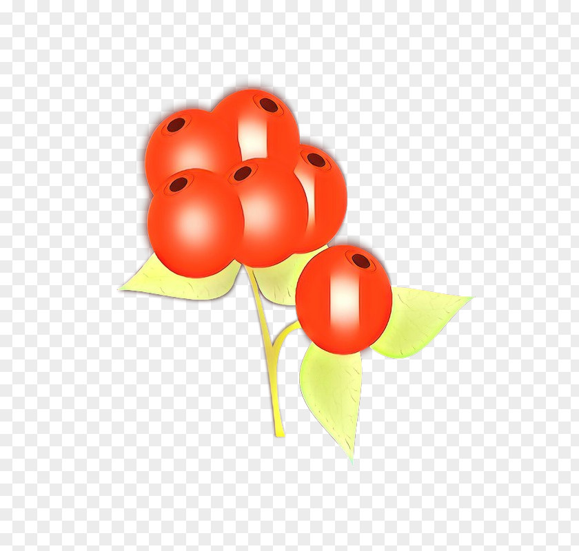 Wheel Smile Orange Balloon PNG