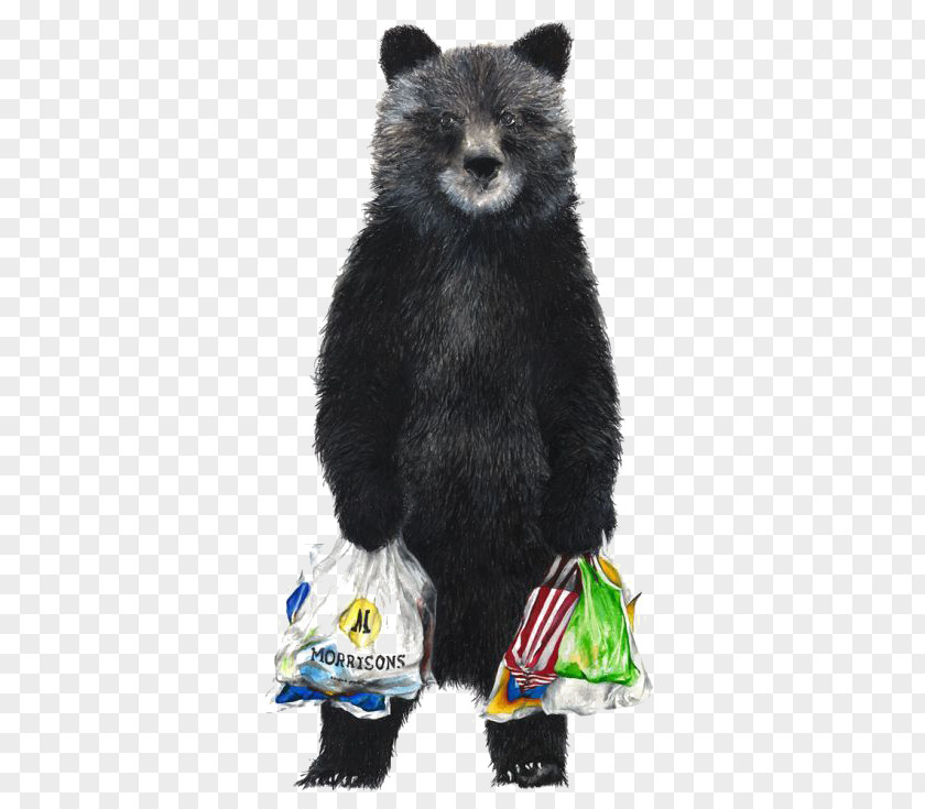 Bears Go Shopping American Black Bear Brown Drawing PNG