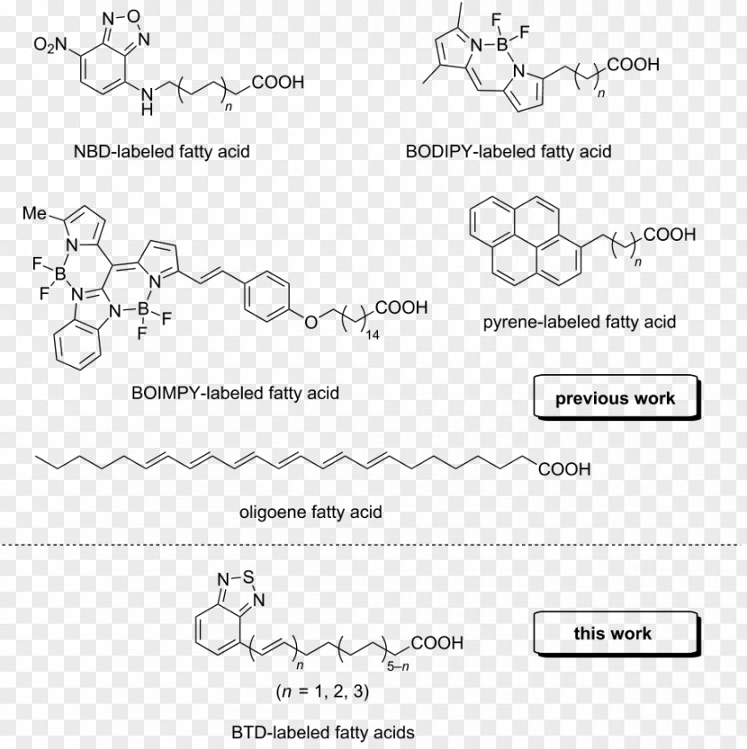 Fragmentation Font Antioxidant Chemistry Acetylcysteine Glutathione Trolox PNG