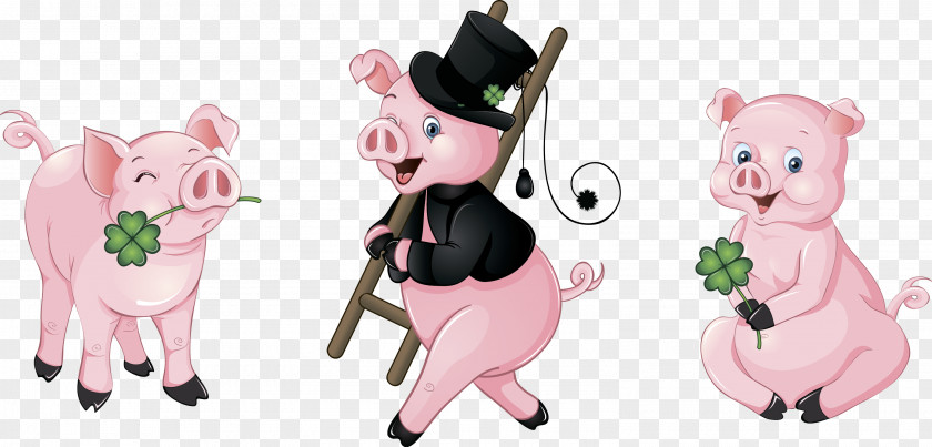 Pig Stock Photography PNG
