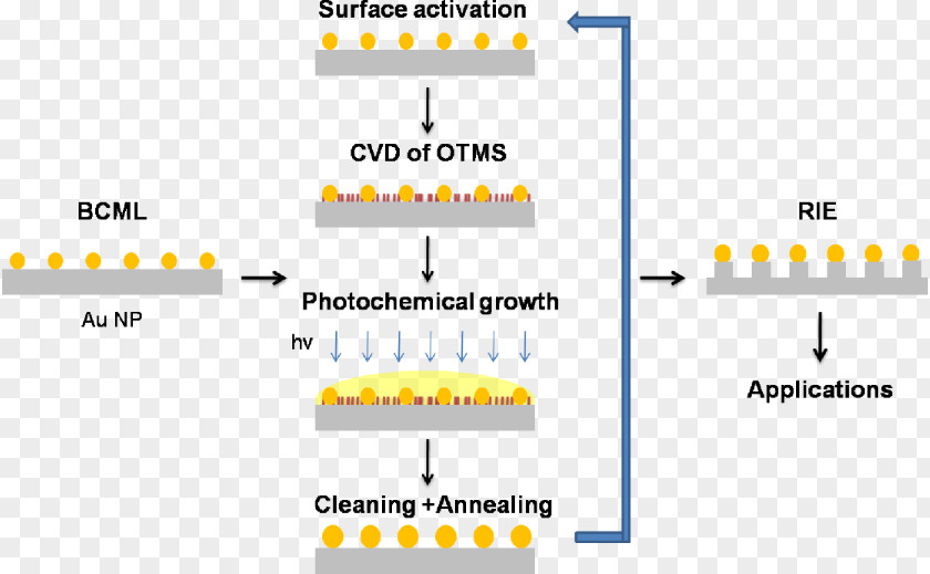 Acetone Background Reactive-ion Etching Nanoparticle Colloidal Gold Silicon Dioxide PNG