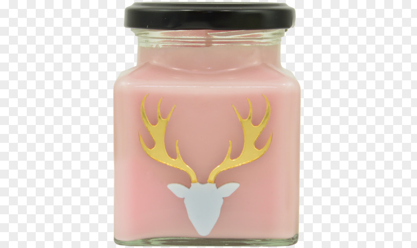 Candle Cinnamon Roll Wax Flamingos Candela PNG