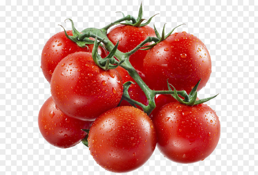 Cherry Tomato Vegetable Gazpacho Heirloom PNG