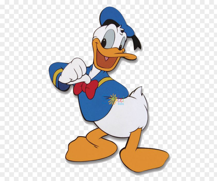 Donald Duck Mickey Mouse Goofy Scrooge McDuck PNG
