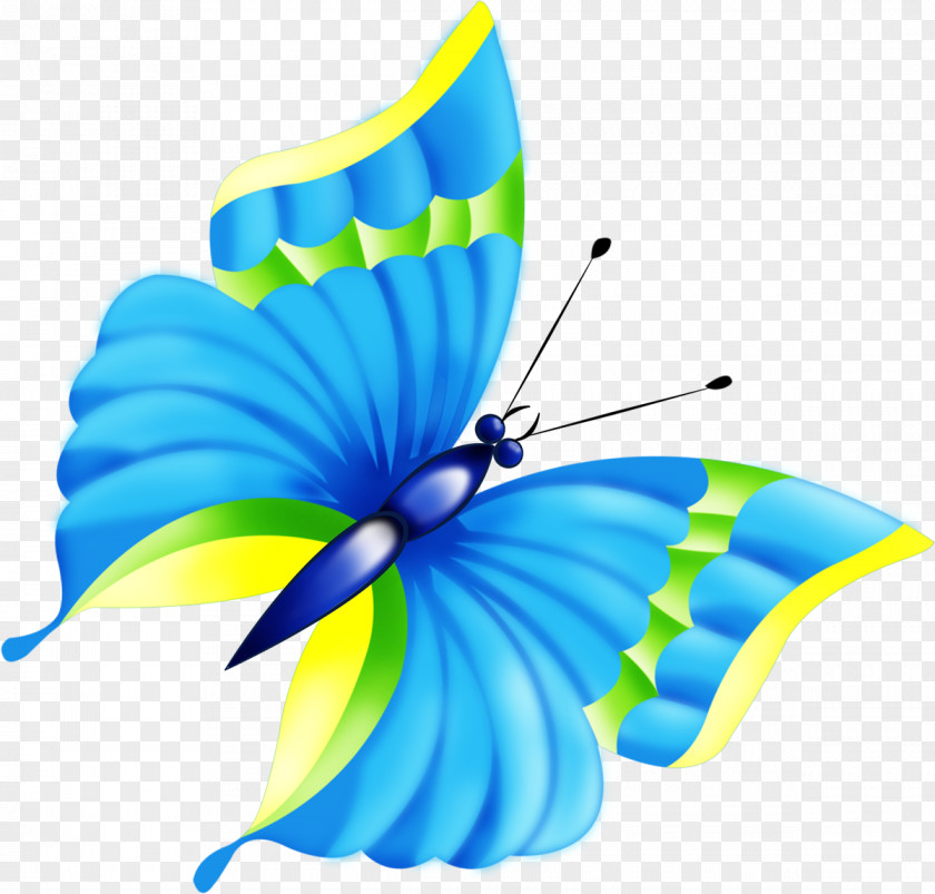 Dragonfly Butterfly Animation Clip Art PNG