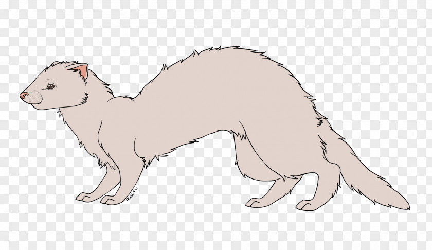 Ferret Weasels Whiskers Mink Cat PNG