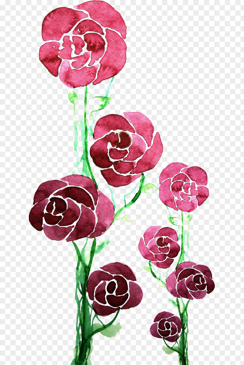 Floral Flowers PNG