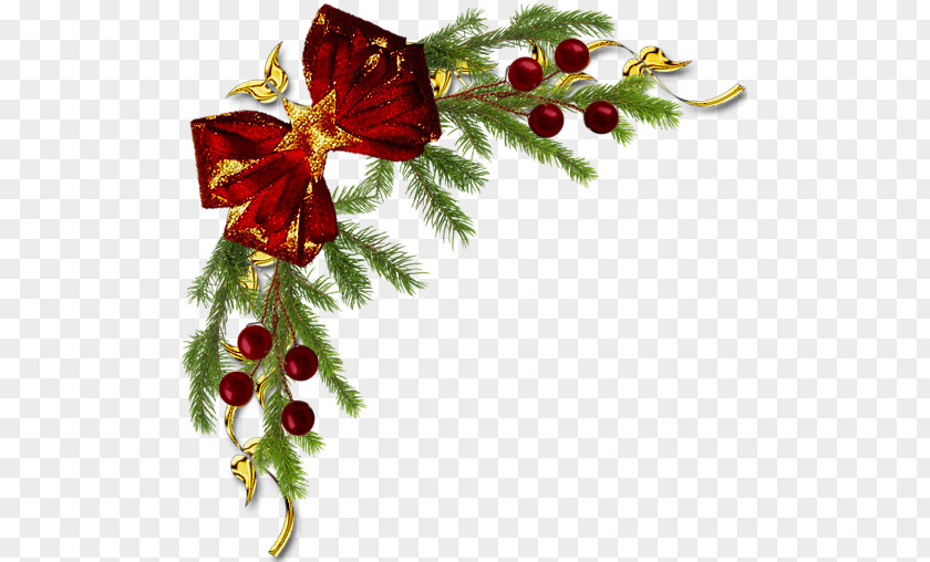 Garland Frame PNG