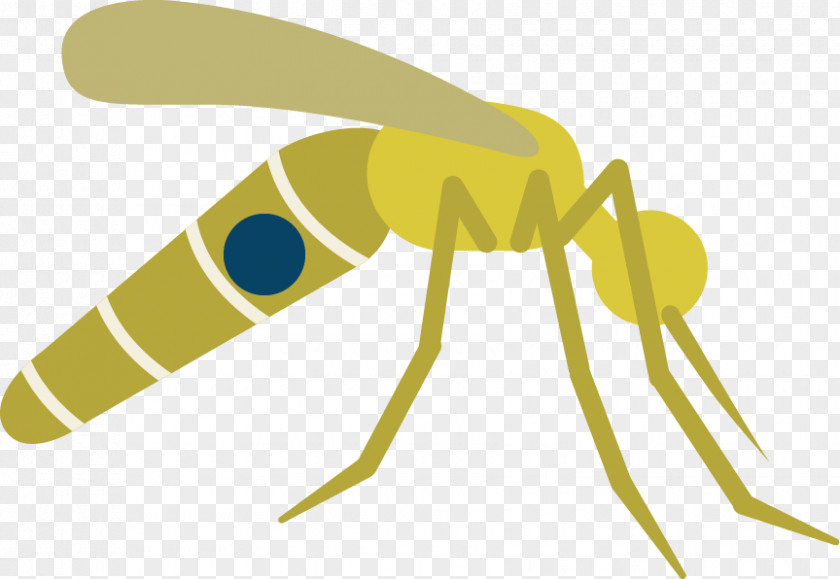 Mosquito Vector Clip Art Insect Disease PNG