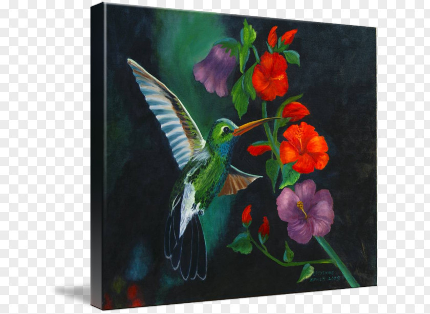Painting Hummingbird M PNG