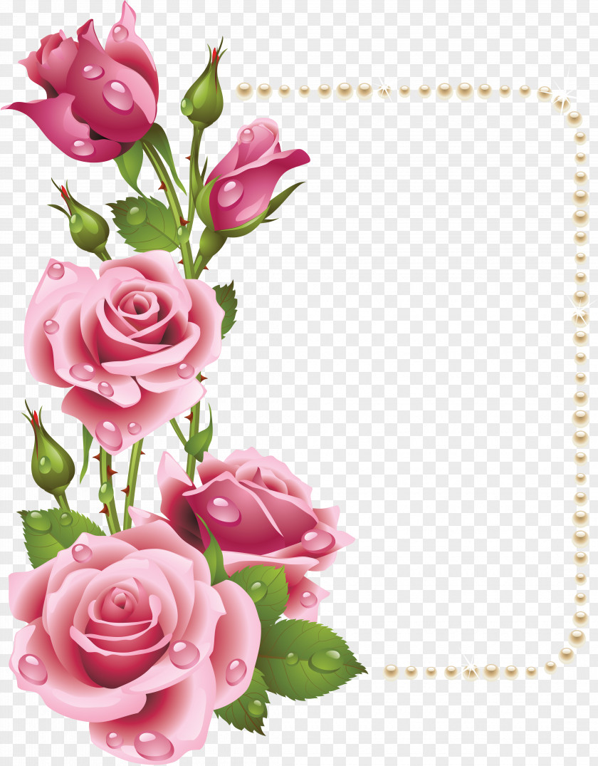 Pink Roses Photo Rose Picture Frame Clip Art PNG