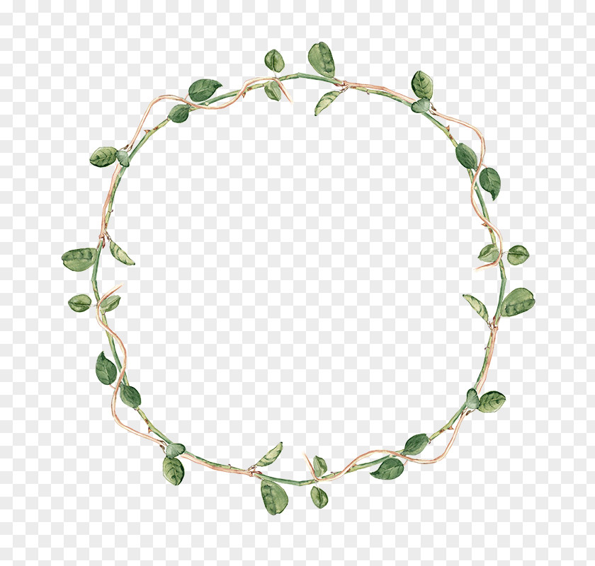 Rattan Ring Vine Plant Clip Art PNG