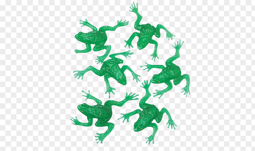 Saint Patrick's Day True Frog Christmas 17 March PNG