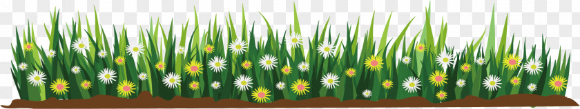 Sketching Flower Flat Cartoon Illustration PNG