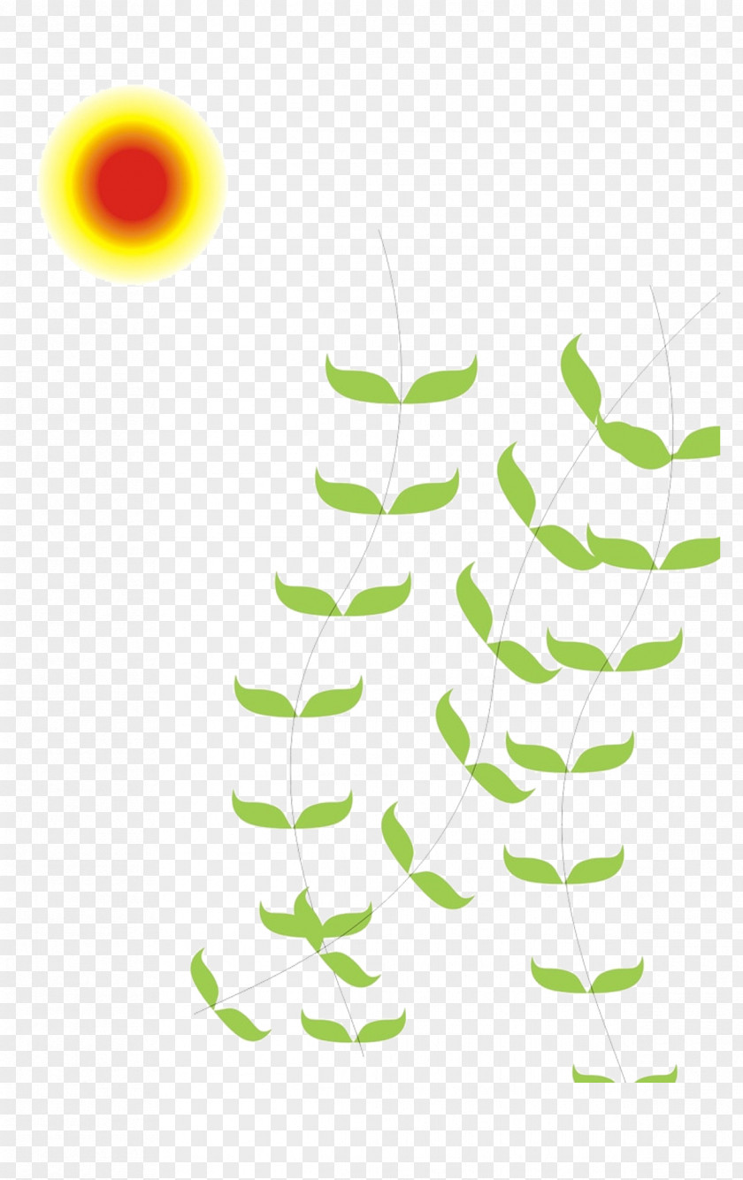 Sun And Batt Willow Wicker PNG