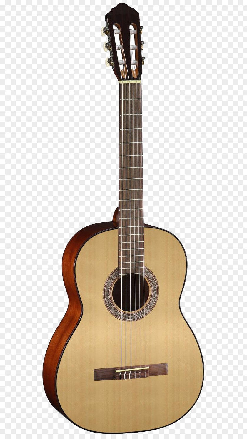Acoustic Guitar Classical Cort Guitars Dreadnought PNG