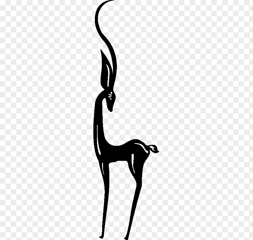 Cat Giraffe Mammal Tail Dog PNG