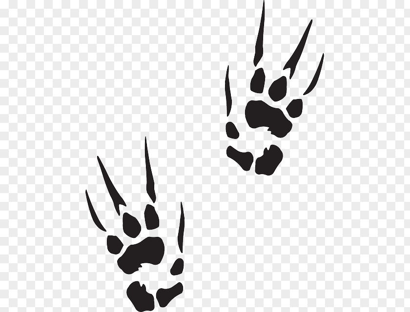 Claw Marks Paw Sticker Decal Printing Clip Art PNG