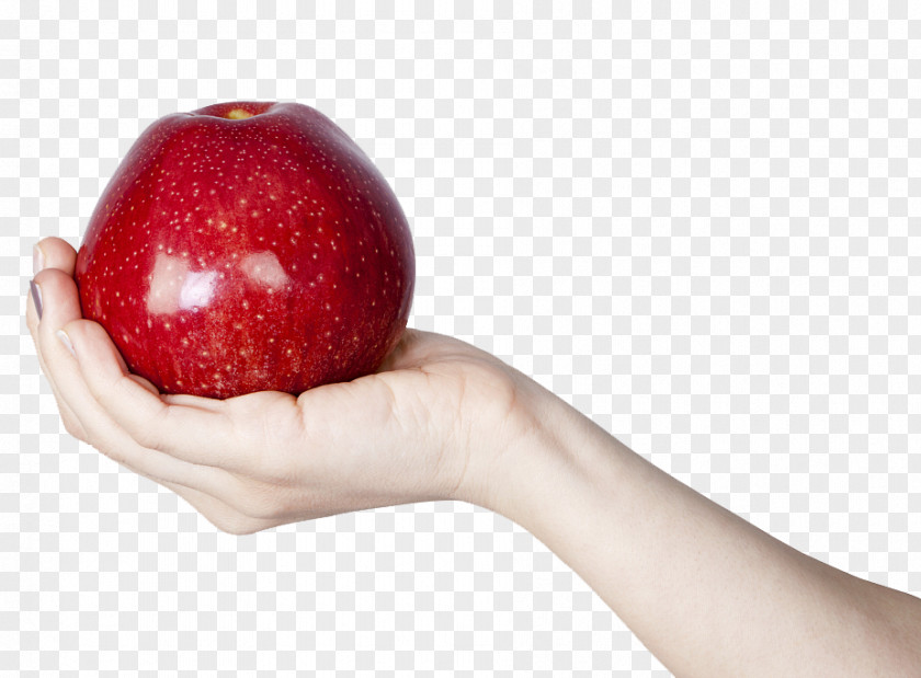 Holding Apples Apple Gratis PNG