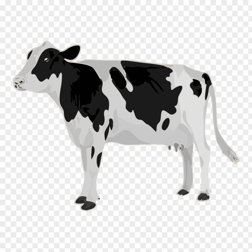 Holstein Ribbon Friesian Cattle Patz Corporation Dairy Calf Teat PNG