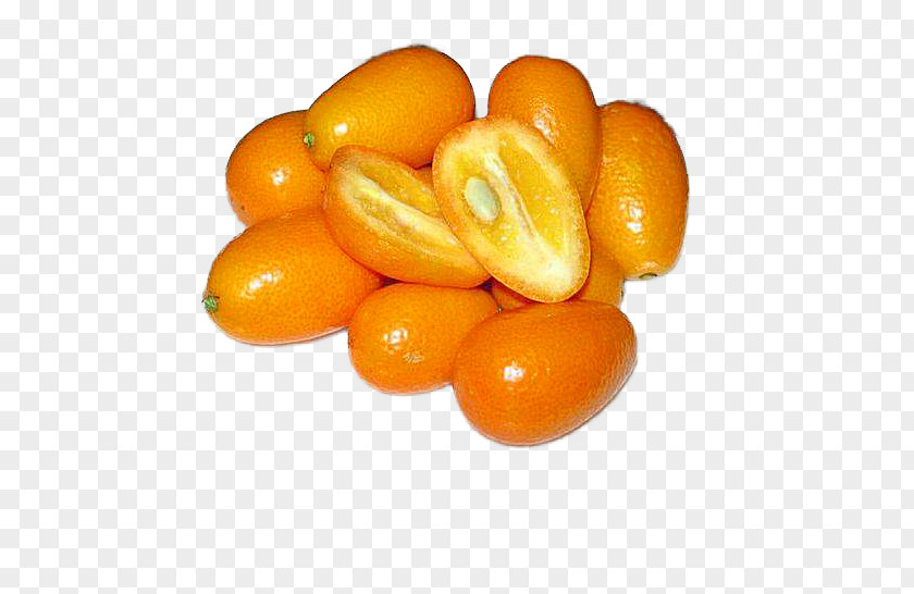 Orange Kumquat Citrus Margarita Japonica Mandarin PNG