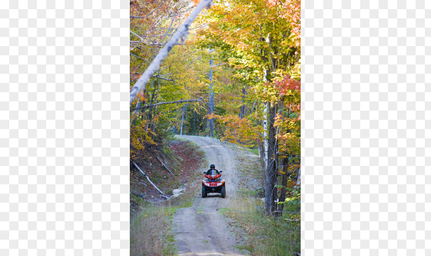 Park Jericho Mountain State Franconia Notch Crawford PNG