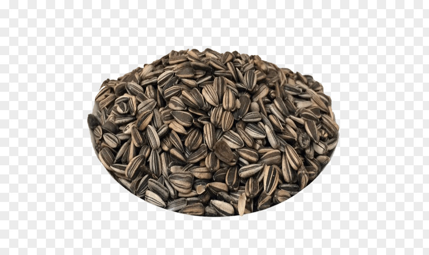 Sementes Nut Commodity Seed PNG