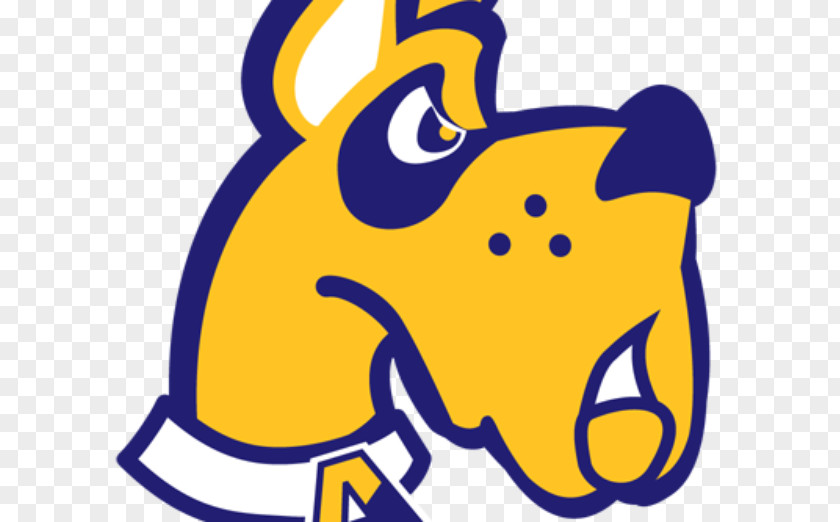 University At Albany, SUNY Albany Great Danes Men's Lacrosse Women's Basketball Football PNG