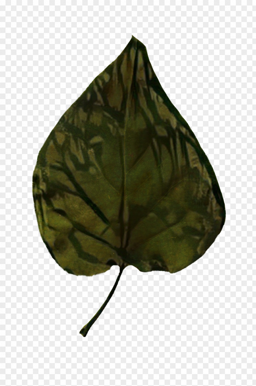Camouflage M Leaf PNG