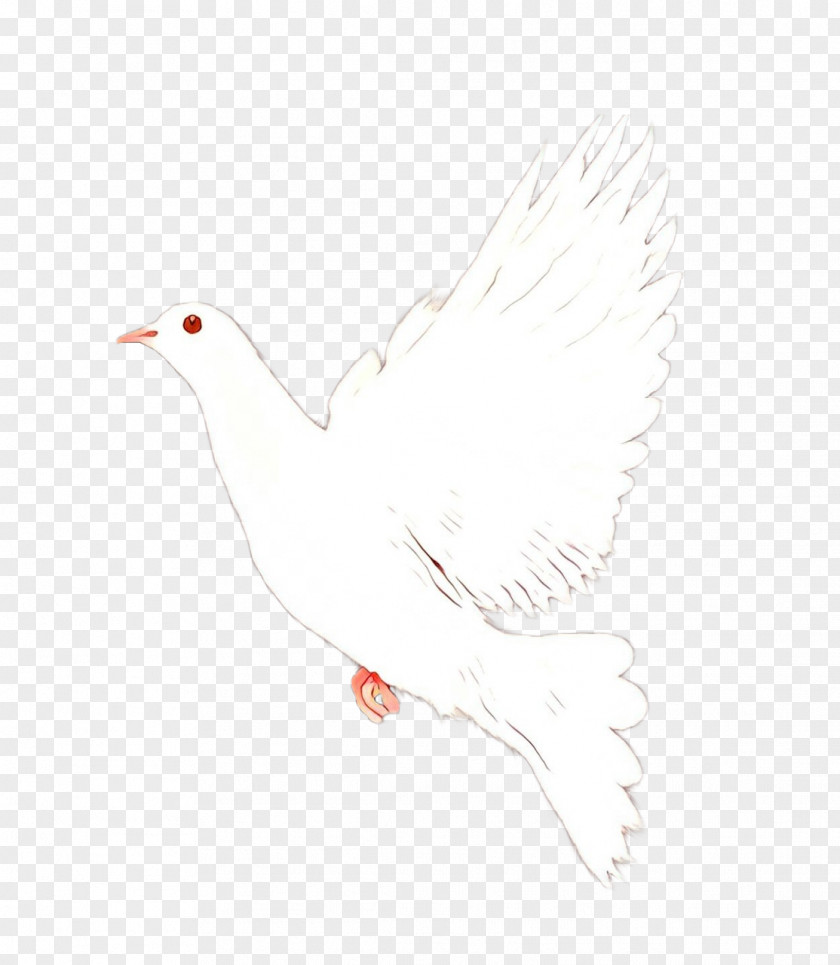 Cranelike Bird Tail Crane PNG