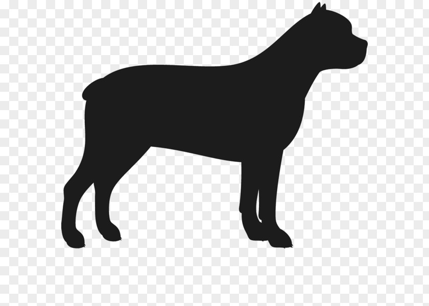 Horse American Staffordshire Terrier Bull PNG