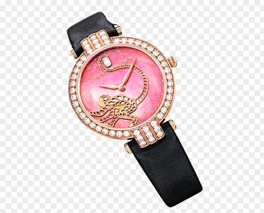 Monkey Limited Edition Watch Women PNG
