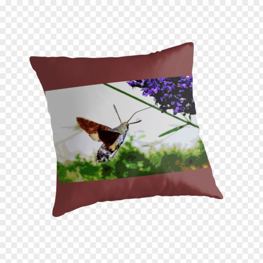 Pillow Cushion Throw Pillows PNG