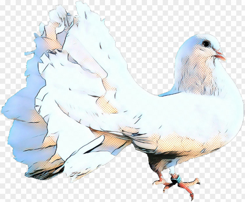 Watercolor Paint Rock Dove Bird PNG
