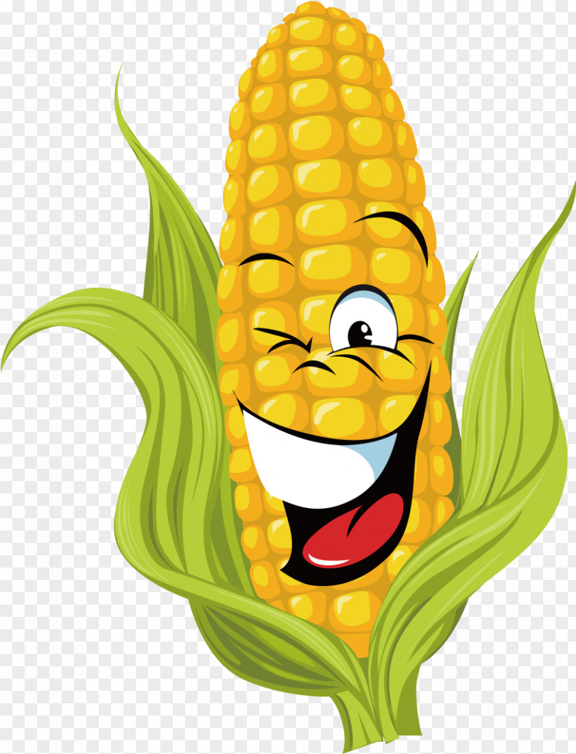 Corn On The Cob Clip Art Sweet Field PNG