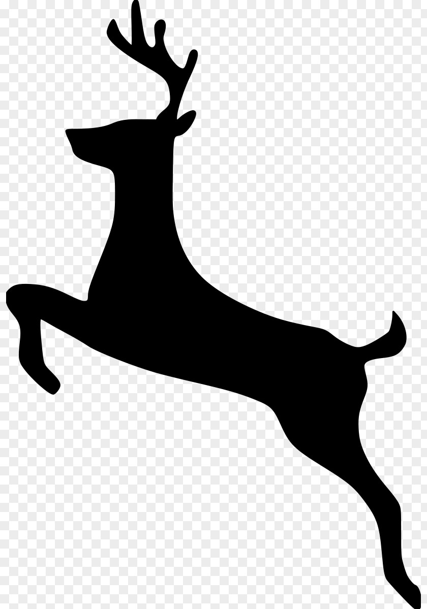 Deer Antler Moose Clip Art PNG