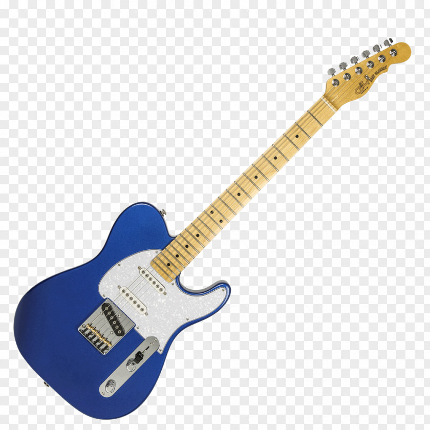 Electric Guitar Fender Telecaster Stratocaster Standard PNG