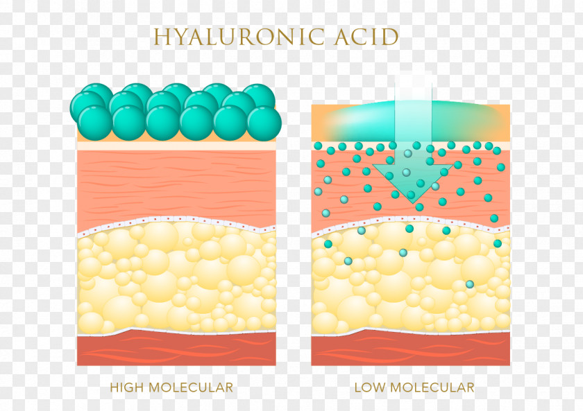 Hyaluronic Acid Skin Care Elastin Anti-aging Cream PNG