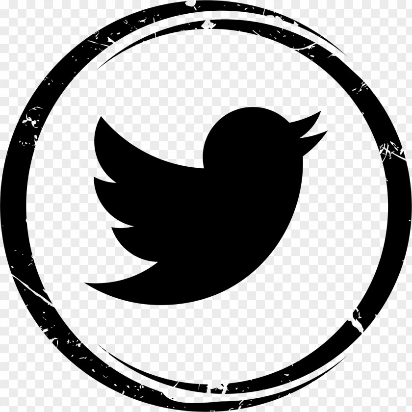 Twitter Bird Winnipeg School Division Social Media Business Plan PNG