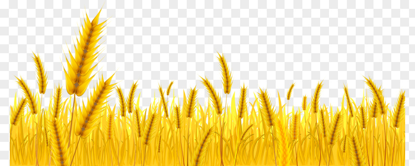 Wheat Harvest Farmer Clip Art PNG