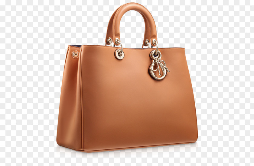 Bag Handbag Christian Dior SE Fashion Lady PNG