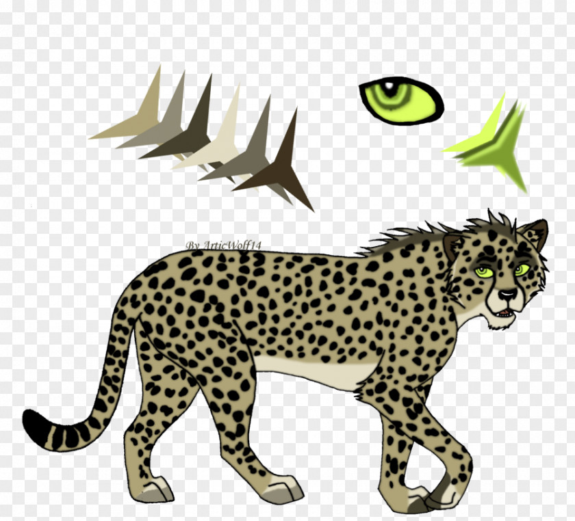 Cheetah Leopard Whiskers Cat Felidae PNG
