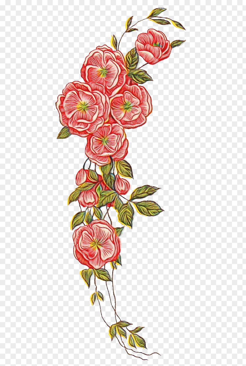 Clip Art Floral Design Flower Image PNG